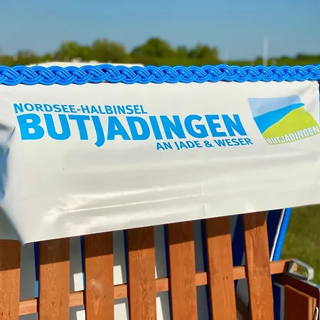 Deichlaeufer * Tossens