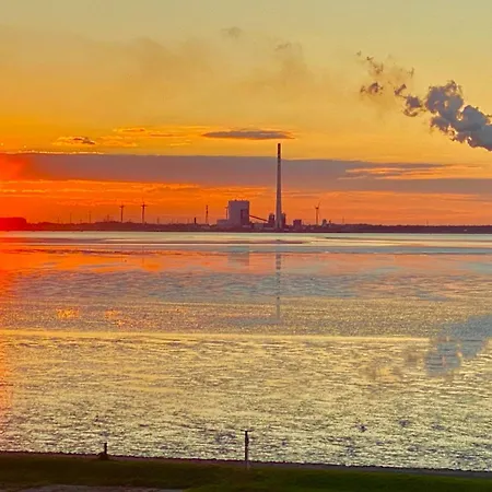 Deichlaeufer * Tossens