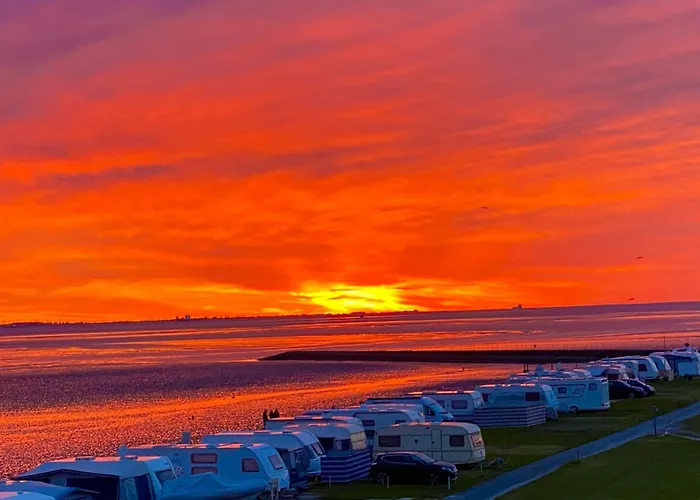 Deichlaeufer Nyaraló *