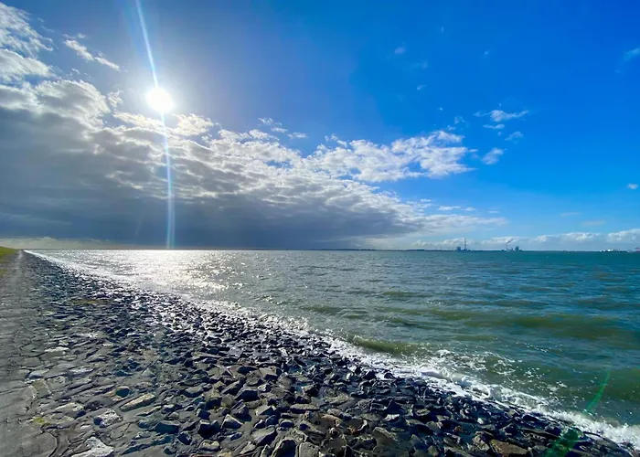 Deichlaeufer Nyaraló *